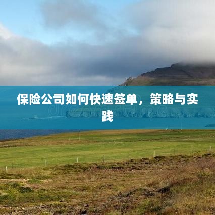 保险公司快速签单策略与实践指南-图1 保险公司快速签单策略与实践指南-图1