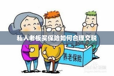 私人老板如何合理购买保险并交税指南-图1