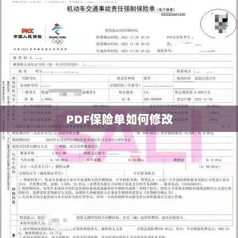 PDF保险单修改指南-图1