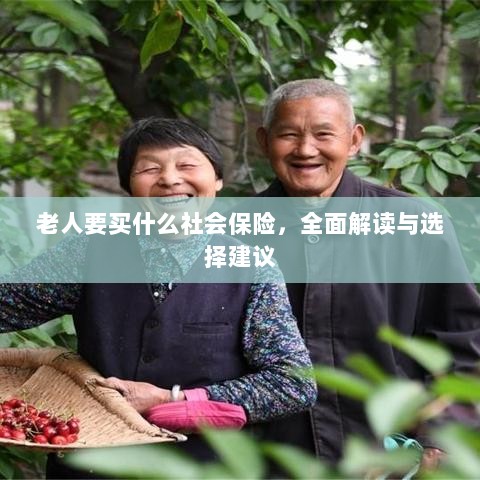 全面解读与选择建议,老年人应购买的社会保险种类解析-图1 全面解读与选择建议,老年人应购买的社会保险种类解析-图1