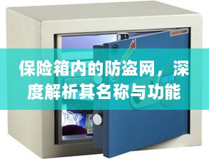保险箱内防盗网,名称与功能的深度解析-图1 保险箱内防盗网,名称与功能的深度解析-图1