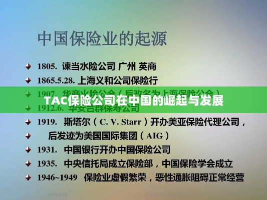 TAC保险公司在中国的崛起与蓬勃发展之路-图1
