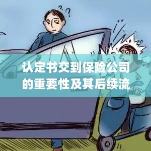 认定书对保险公司的重要性及后续流程详解-图1 认定书对保险公司的重要性及后续流程详解-图1