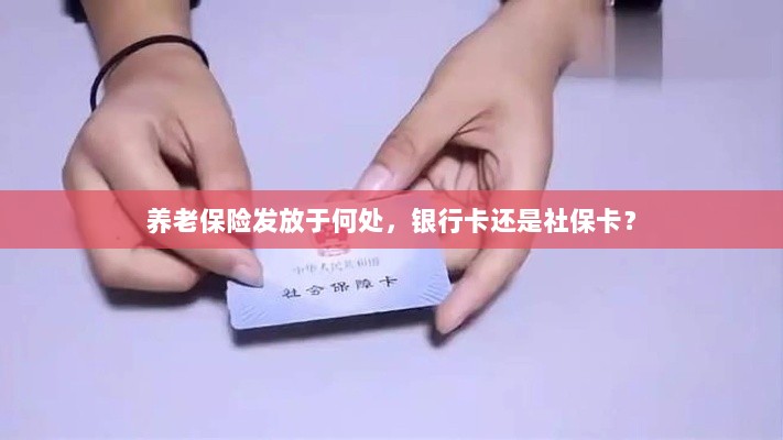 养老保险发放方式解析,银行卡还是社保卡?-图1 养老保险发放方式解析,银行卡还是社保卡?-图1