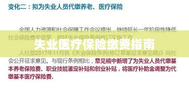 失业医疗保险缴费详解,一站式指南-图1 失业医疗保险缴费详解,一站式指南-图1