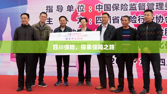 四川保险，探索全方位保障之路-图1