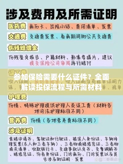投保全攻略,保险所需证件及流程详解-图1 投保全攻略,保险所需证件及流程详解-图1