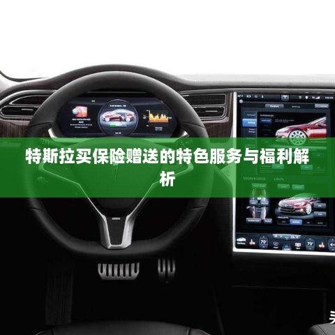 特斯拉保险赠品特色服务与福利深度解析-图1