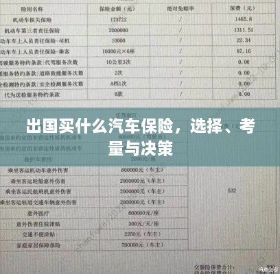 出国购车保险指南,选择、考量与决策攻略-图1 出国购车保险指南,选择、考量与决策攻略-图1
