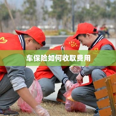 车保险费用收取详解-图1 车保险费用收取详解-图1