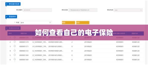 如何查看个人电子保险保单详情-图1 如何查看个人电子保险保单详情-图1
