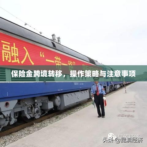 保险金跨境转移,操作策略及注意事项指南-图1 保险金跨境转移,操作策略及注意事项指南-图1