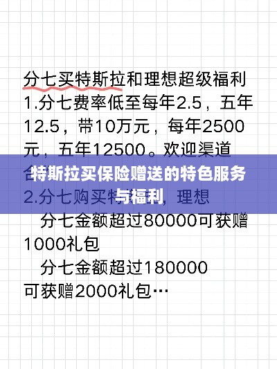 特斯拉保险特惠,独家特色服务与丰厚赠品等你来享-图1 特斯拉保险特惠,独家特色服务与丰厚赠品等你来享-图1
