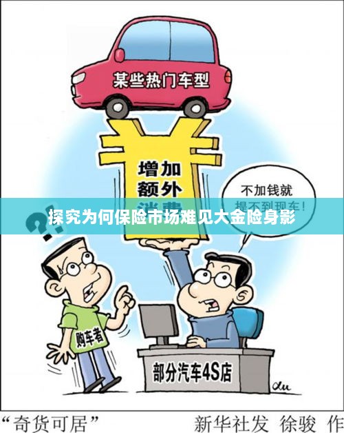 大金险在保险市场难觅踪迹的探究-图1