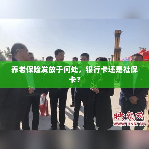 养老保险发放方式解析,银行卡还是社保卡?-图1 养老保险发放方式解析,银行卡还是社保卡?-图1
