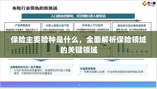 全面解析保险领域关键领域,主要险种介绍与概述-图1 全面解析保险领域关键领域,主要险种介绍与概述-图1