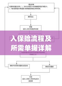 保险投保流程与所需单据全面解析-图1
