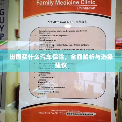 全面解析与选择建议,出国应购买哪些汽车保险?-图1 全面解析与选择建议,出国应购买哪些汽车保险?-图1