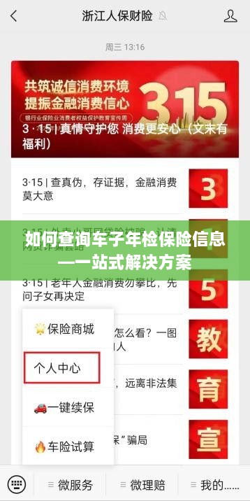 一站式查询,车辆年检与保险信息指南-图1 一站式查询,车辆年检与保险信息指南-图1