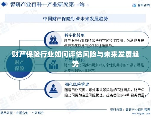 财产保险行业风险评估及未来发展趋势展望-图1 财产保险行业风险评估及未来发展趋势展望-图1