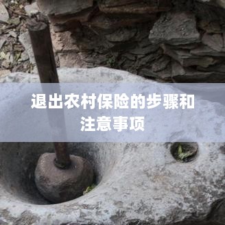 退出农村保险的步骤及注意事项详解-图1 退出农村保险的步骤及注意事项详解-图1