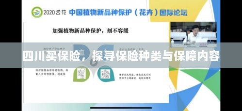 四川保险探秘，种类与保障内容全解析-图1
