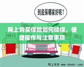 网上保险续保攻略,便捷操作及注意事项-图1 网上保险续保攻略,便捷操作及注意事项-图1