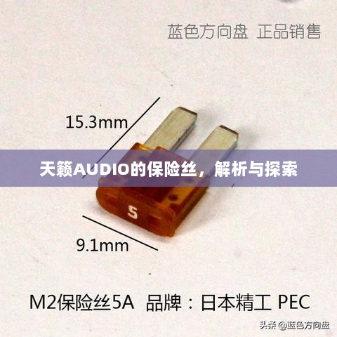 天籁AUDIO保险丝解析与探索-图1 天籁AUDIO保险丝解析与探索-图1