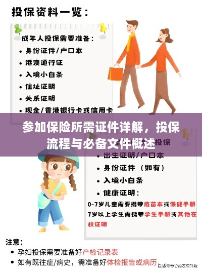 投保全攻略，证件要求、流程详解与必备文件概述-图1