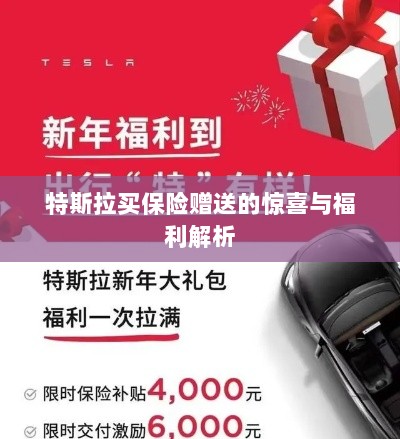 特斯拉保险赠品福利大解析，惊喜与优惠一网打尽！-图1