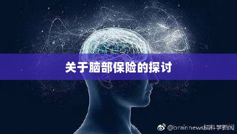 脑部保险，深度探讨与解析-图1