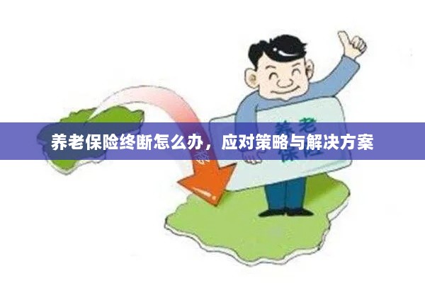 养老保险中断应对指南，解决方案与策略-图1