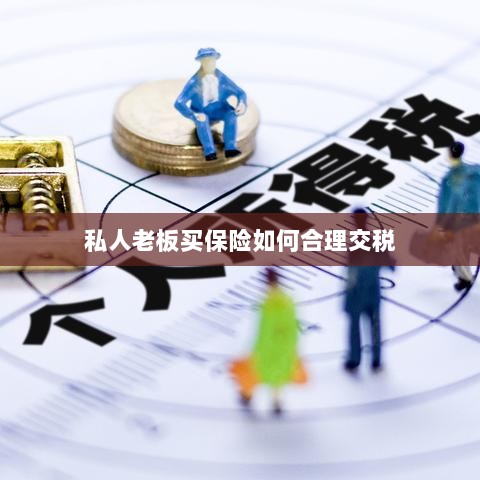 私人老板如何合理购买保险并交税指南-图1 私人老板如何合理购买保险并交税指南-图1