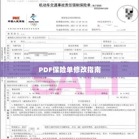 PDF保险单修改指南详解-图1 PDF保险单修改指南详解-图1