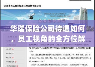 华瑞保险公司员工待遇全方位解读，员工视角的细致剖析-图1
