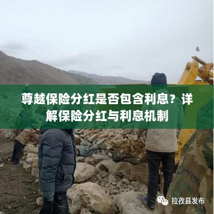 尊越保险分红机制详解,是否包含利息?保险分红与利息机制深度解析。-图1 尊越保险分红机制详解,是否包含利息?保险分红与利息机制深度解析。-图1