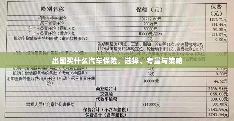 出国汽车保险购买指南,选择、考量与策略-图1 出国汽车保险购买指南,选择、考量与策略-图1