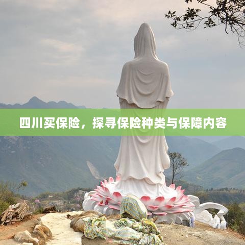 四川保险探秘,种类与保障内容全解析-图1 四川保险探秘,种类与保障内容全解析-图1