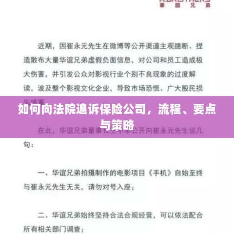 追诉保险公司指南，流程、要点与策略全解析-图1