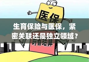 生育保险与医保,紧密关联还是独立领域探讨?-图1 生育保险与医保,紧密关联还是独立领域探讨?-图1