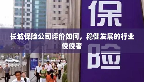 长城保险公司评价积极，行业稳健发展的佼佼者-图1
