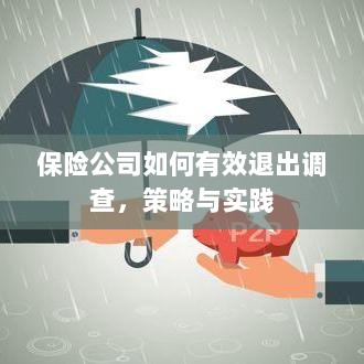保险公司有效退出调查的策略与实践探讨-图1