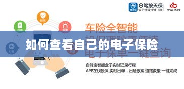 如何查看个人电子保险保单详情-图1