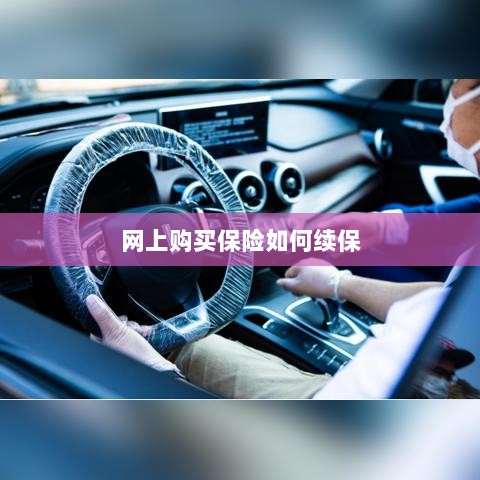 网上购买保险的续保指南-图1