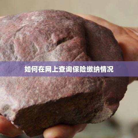 网上查询保险缴纳情况攻略-图1