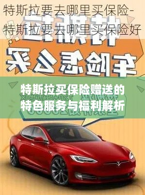 特斯拉保险赠品特色服务与福利深度解析-图1