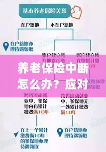 养老保险中断应对指南,解决方案与策略全解析-图1 养老保险中断应对指南,解决方案与策略全解析-图1