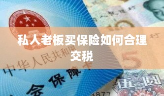 私人老板如何合理购买保险并交税指南-图1 私人老板如何合理购买保险并交税指南-图1