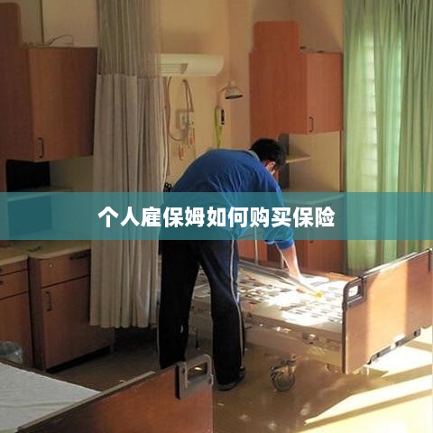 个人雇保姆保险购买指南-图1