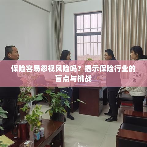 保险行业盲点揭秘，易被忽视的风险与挑战探究-图1